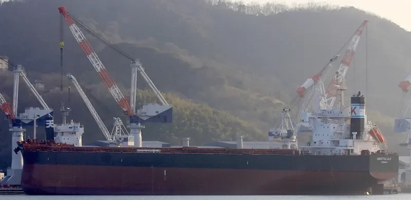 ARIETTA LILY Bulk Carrier IMO 9727479 photo 8