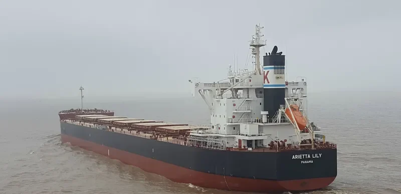 ARIETTA LILY Bulk Carrier IMO 9727479 photo 10