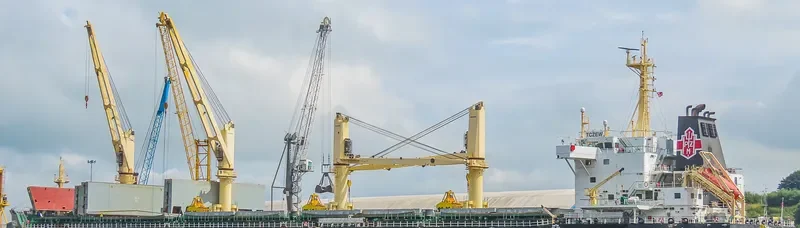 TCZEW Bulk Carrier IMO 9727493 photo 8