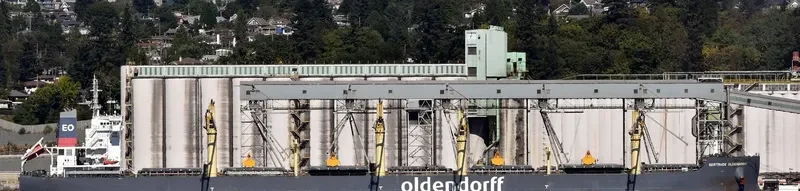 GERTRUDE OLDENDORFF Bulk Carrier IMO 9727601 photo 4
