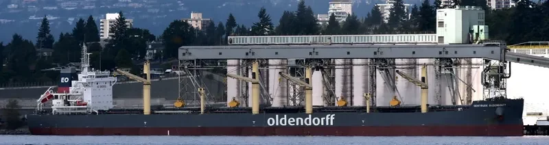 GERTRUDE OLDENDORFF Bulk Carrier IMO 9727601 photo 6