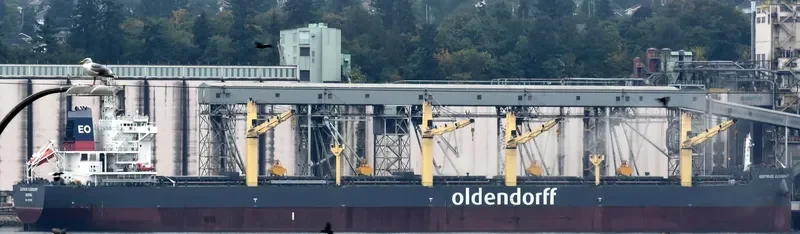 GERTRUDE OLDENDORFF Bulk Carrier IMO 9727601 photo 7