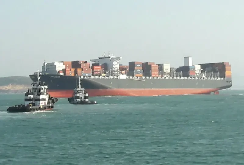 CAPE SOUNIO Container Ship IMO 9727625