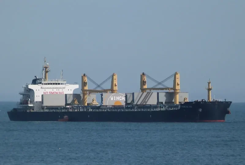 FENG DE HAI Bulk Carrier IMO 9727637 photo 3