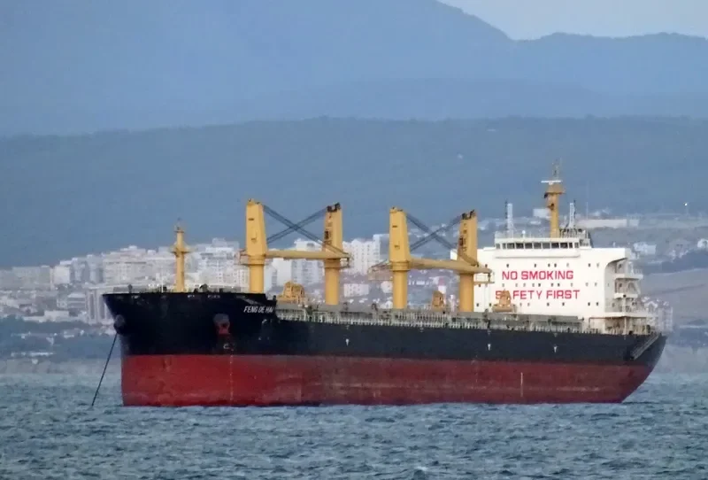FENG DE HAI Bulk Carrier IMO 9727637 photo 6