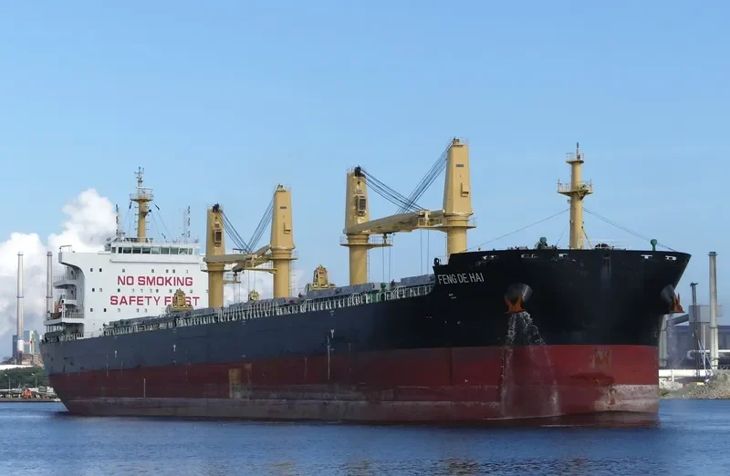 FENG DE HAI Bulk Carrier IMO 9727637 photo 8