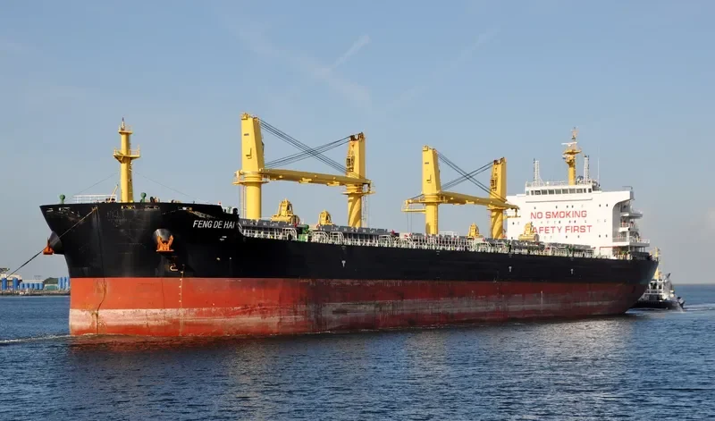 FENG DE HAI Bulk Carrier IMO 9727637 photo 10