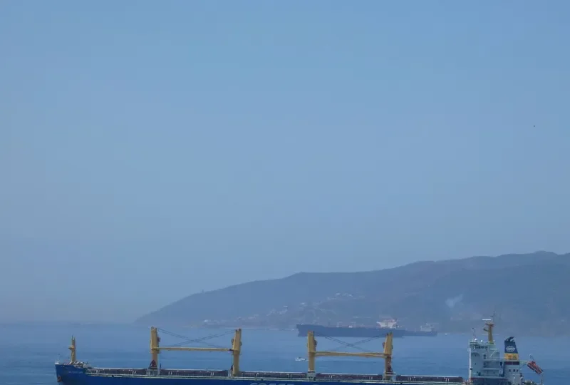 FENG SHOU HAI Bulk Carrier IMO 9727651
