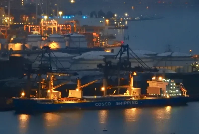 FENG SHOU HAI Bulk Carrier IMO 9727651 photo 4