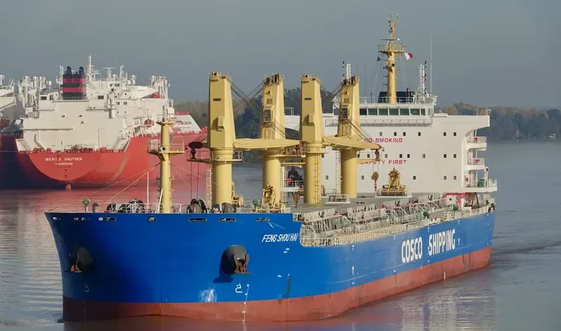 FENG SHOU HAI Bulk Carrier IMO 9727651 photo 6