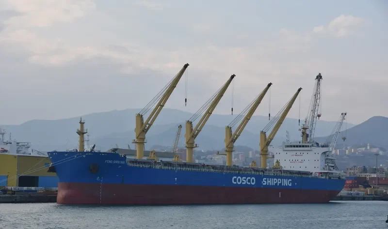 FENG SHOU HAI Bulk Carrier IMO 9727651 photo 9