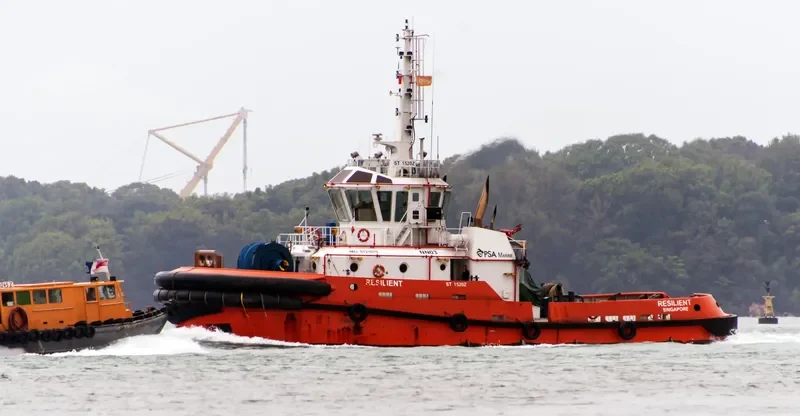 RESILIENT General Cargo IMO 9727675