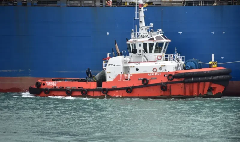 RESILIENT General Cargo IMO 9727675 photo 3