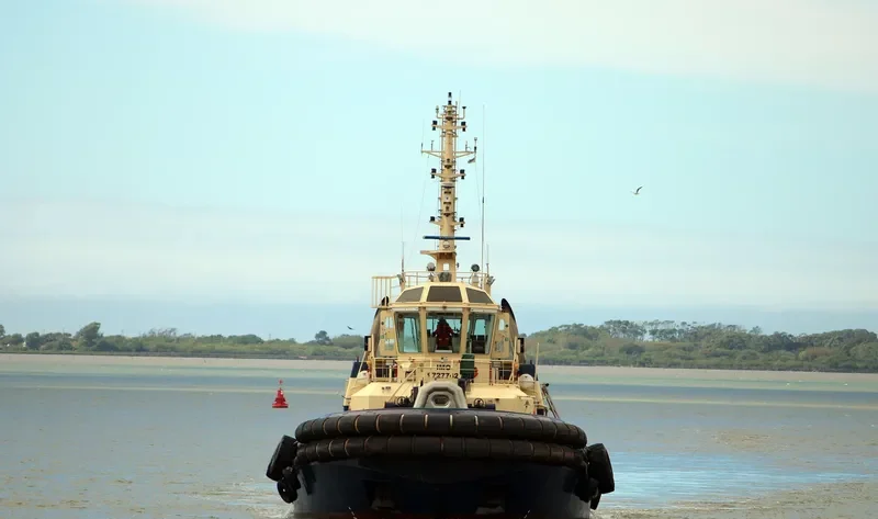 SVITZER MARIA DARIAN General Cargo IMO 9727742 photo 2