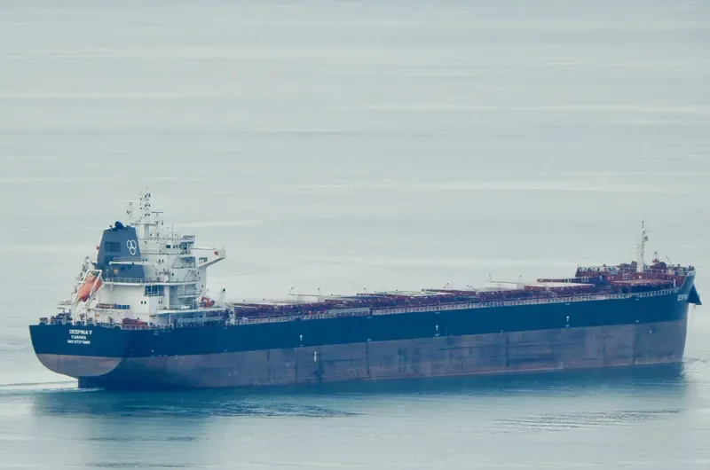 DESPINA V Bulk Carrier IMO 9727986