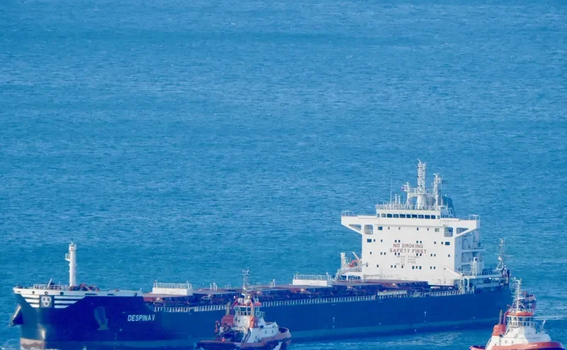 DESPINA V Bulk Carrier IMO 9727986 photo 5