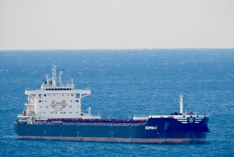 DESPINA V Bulk Carrier IMO 9727986 photo 6