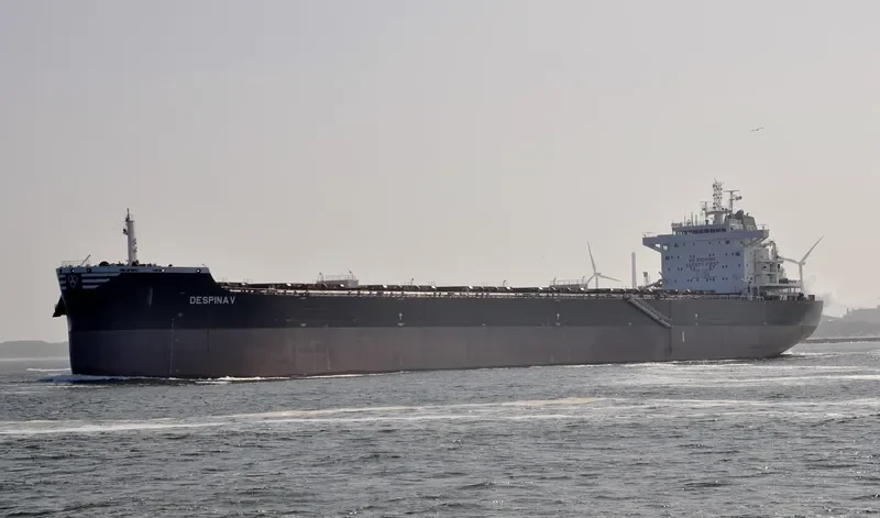 DESPINA V Bulk Carrier IMO 9727986 photo 9