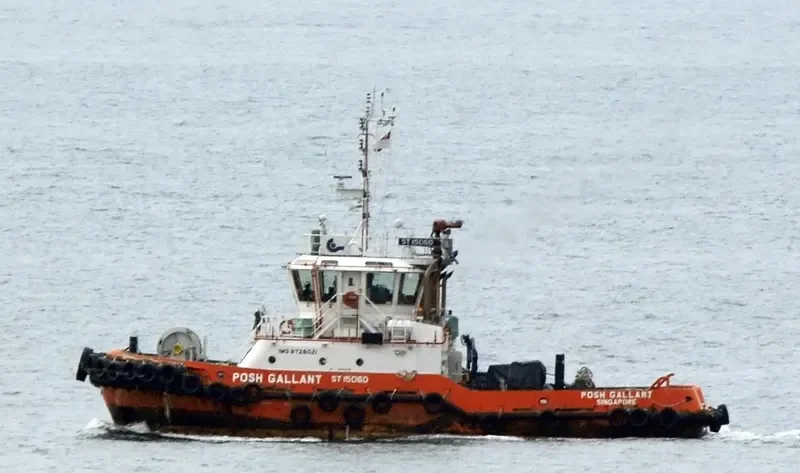 POSH GALLANT General Cargo IMO 9728021