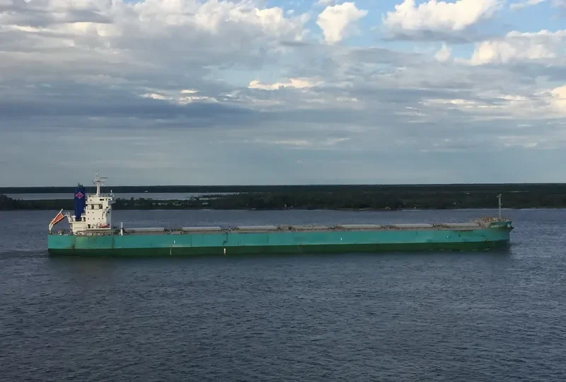GENEVA STAR Bulk Carrier IMO 9728124