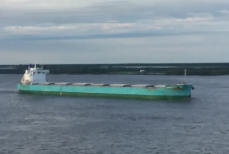 GENEVA STAR Bulk Carrier IMO 9728124 photo 2