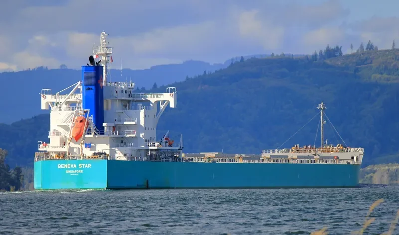 GENEVA STAR Bulk Carrier IMO 9728124 photo 8