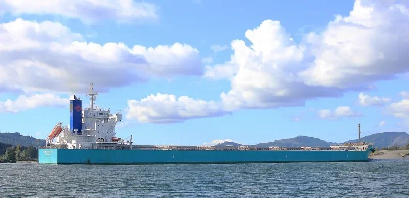 GENEVA STAR Bulk Carrier IMO 9728124 photo 10