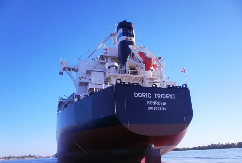 DORIC TRIDENT Bulk Carrier IMO 9728150 photo 2
