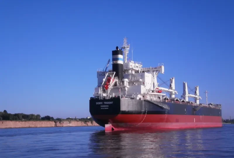 DORIC TRIDENT Bulk Carrier IMO 9728150 photo 3