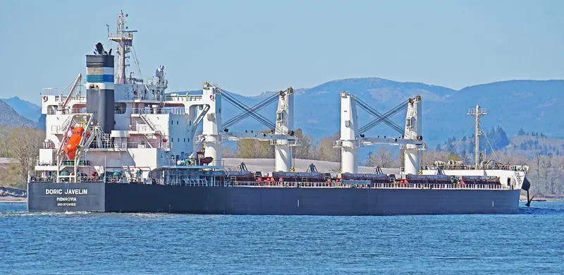 DORIC JAVELIN Bulk Carrier IMO 9728162 photo 3