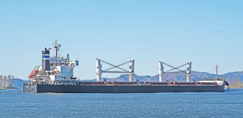 DORIC JAVELIN Bulk Carrier IMO 9728162 photo 4
