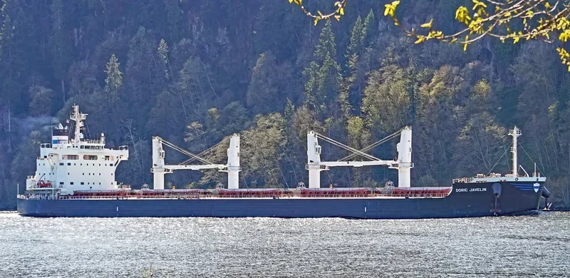 DORIC JAVELIN Bulk Carrier IMO 9728162 photo 5