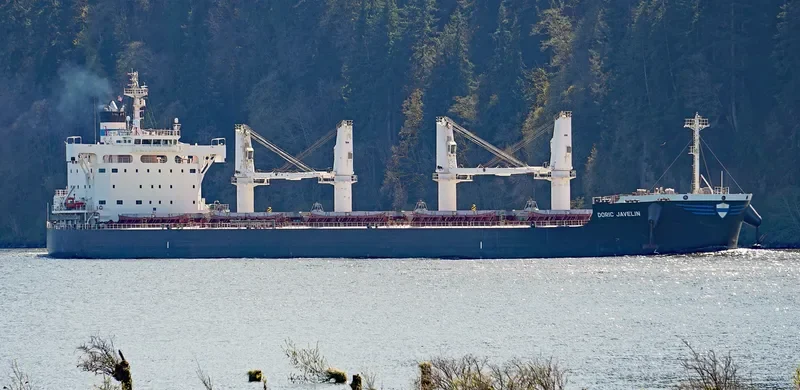 DORIC JAVELIN Bulk Carrier IMO 9728162 photo 6