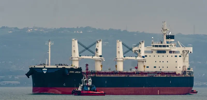 DORIC JAVELIN Bulk Carrier IMO 9728162 photo 9