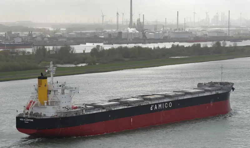 MEDI GLADSTONE Bulk Carrier IMO 9728186