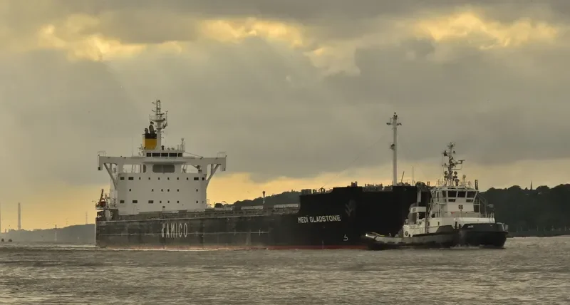 MEDI GLADSTONE Bulk Carrier IMO 9728186 photo 2