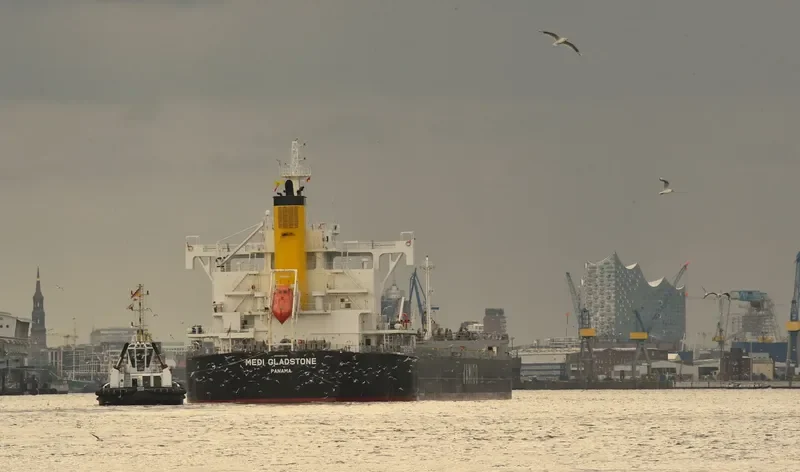 MEDI GLADSTONE Bulk Carrier IMO 9728186 photo 3
