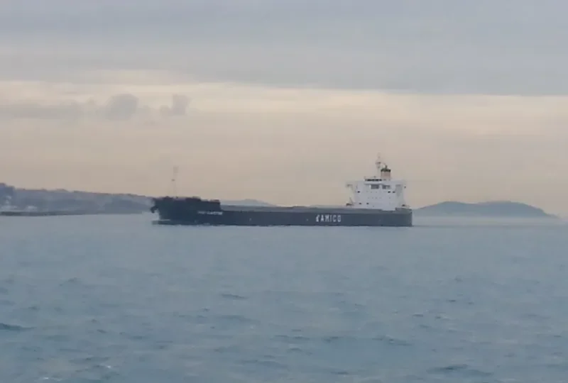 MEDI GLADSTONE Bulk Carrier IMO 9728186 photo 4