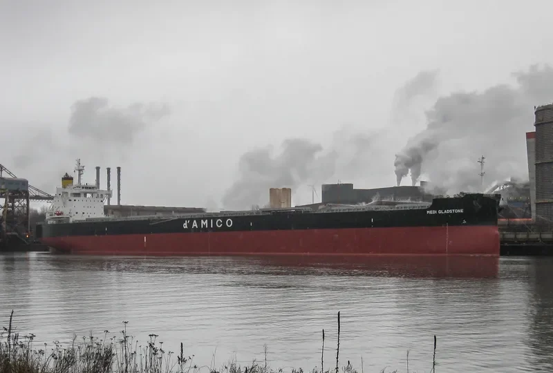MEDI GLADSTONE Bulk Carrier IMO 9728186 photo 6