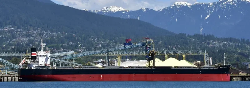 NORD POLARIS Bulk Carrier IMO 9728198