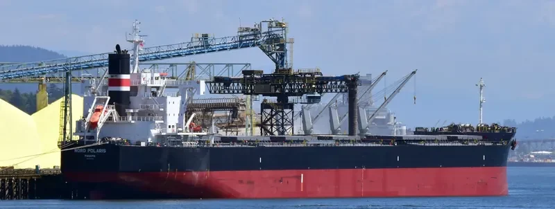 NORD POLARIS Bulk Carrier IMO 9728198 photo 2