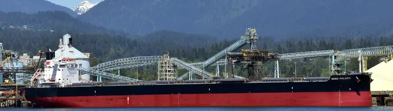 NORD POLARIS Bulk Carrier IMO 9728198 photo 3