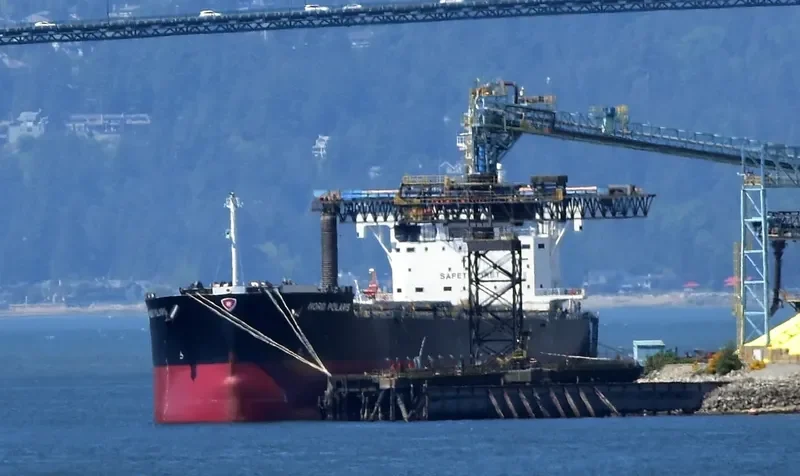 NORD POLARIS Bulk Carrier IMO 9728198 photo 5