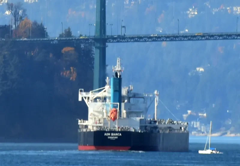 AOM BIANCA Bulk Carrier IMO 9728215 photo 2