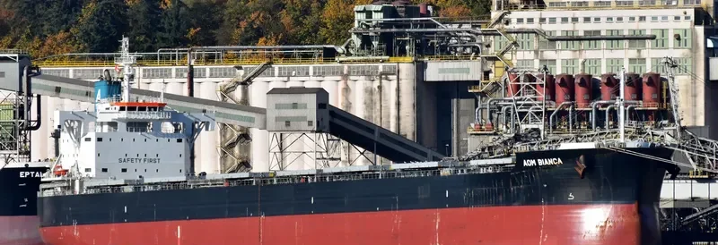 AOM BIANCA Bulk Carrier IMO 9728215 photo 3