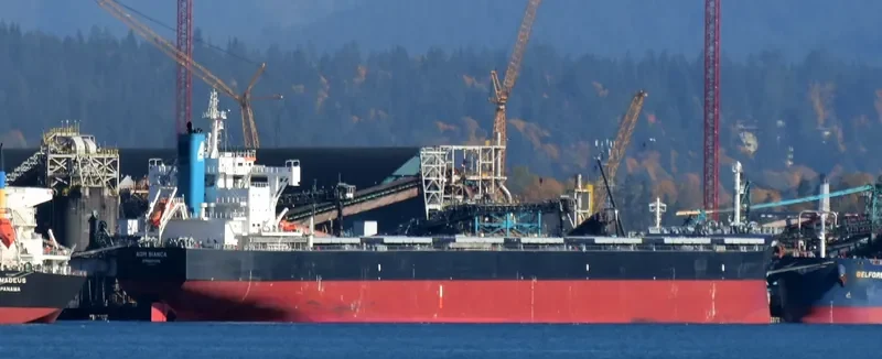 AOM BIANCA Bulk Carrier IMO 9728215 photo 5