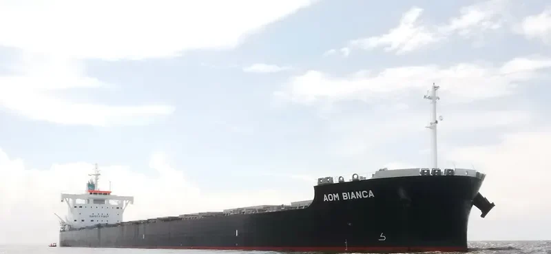 AOM BIANCA Bulk Carrier IMO 9728215 photo 6