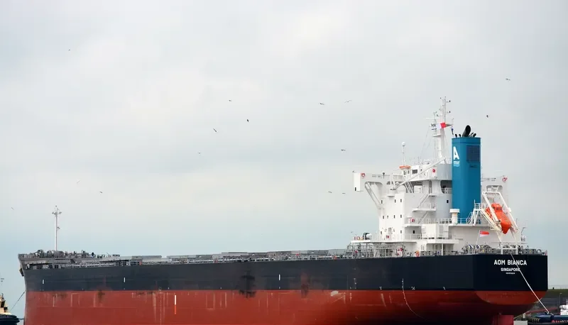 AOM BIANCA Bulk Carrier IMO 9728215 photo 9