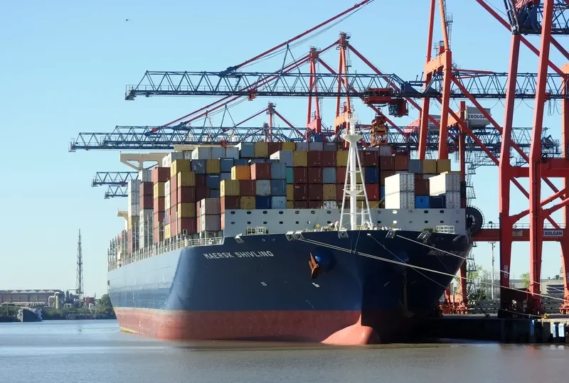 MAERSK SHIVLING Container Ship IMO 9728253