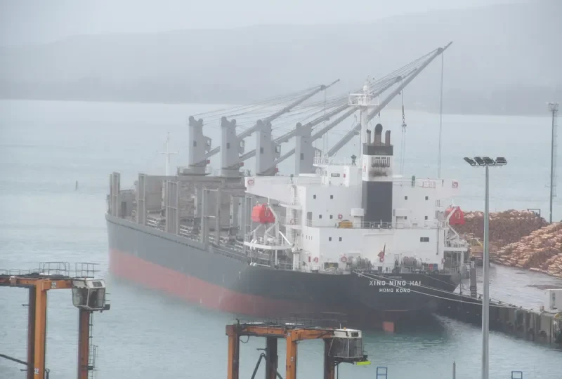 XING NING HAI Bulk Carrier IMO 9728332